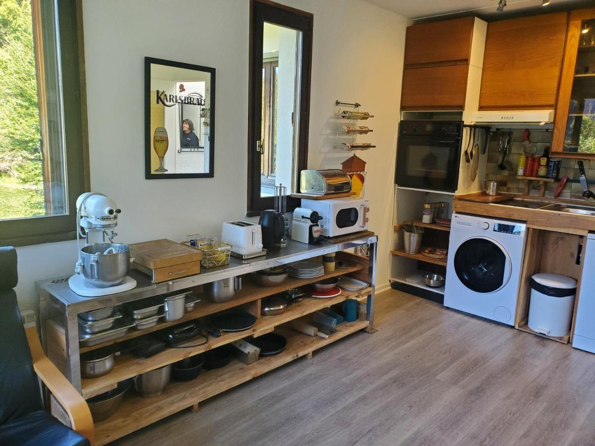 Appartement Col De L'Arzelier Chateau-Bernard Εξωτερικό φωτογραφία